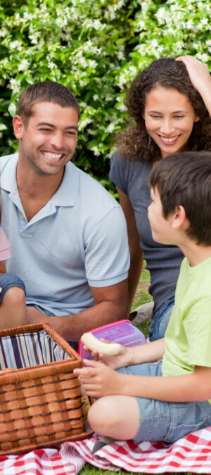 family on picnic 2