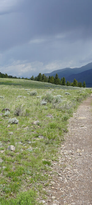 hiking trail in Wyoming