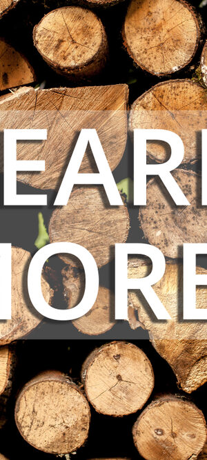 learn more with logs