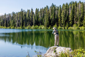 Visit health.wyo.gov