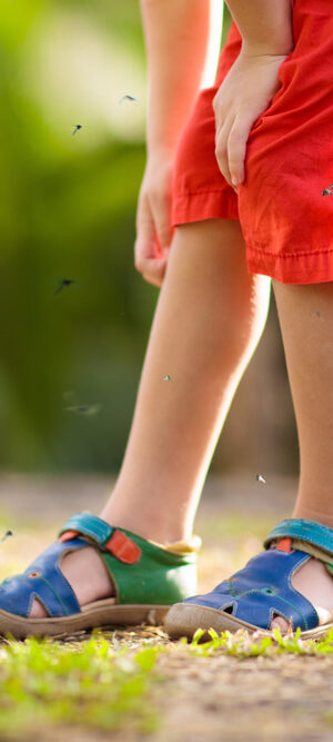 mosquitos flying around boy’s legs