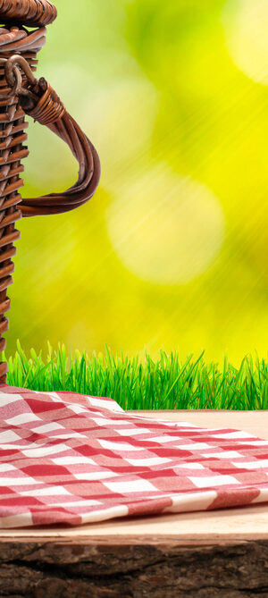 picnic basket with cloth