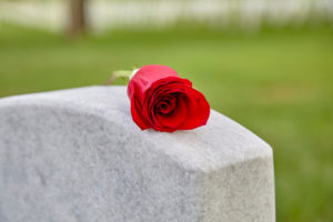 rose on cemetery stone