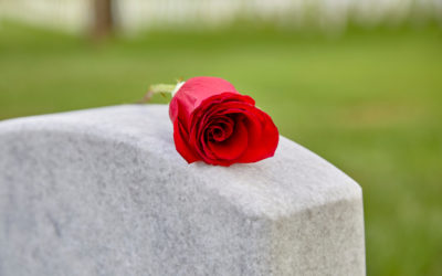 rose on cemetery stone