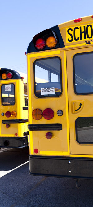 row of school buses