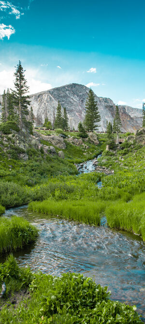 snowy range with creek