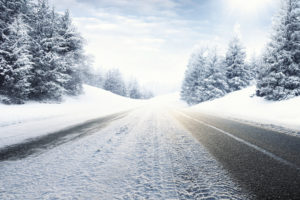 snowy road with trees