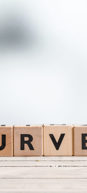 survey word on wood blocks