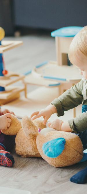 toddlers playing with toys