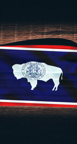 Wyoming Flag on Medical Mask
