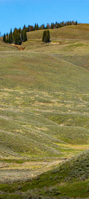 wyoming rolling hills