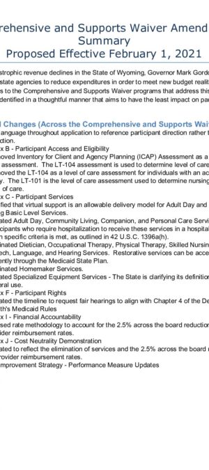 DD Waiver Amendment Summary – 2021.2.1