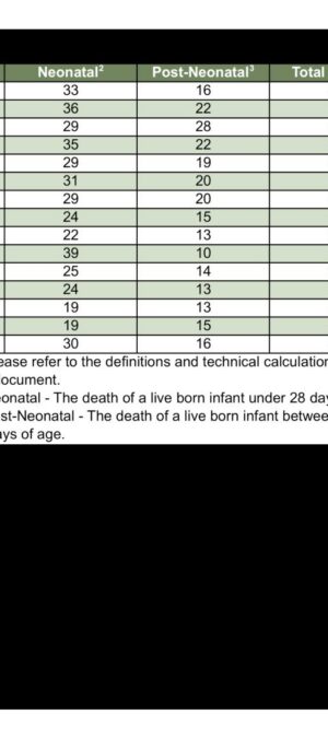 WYMORT19_2005_2019ByNatalPeriod