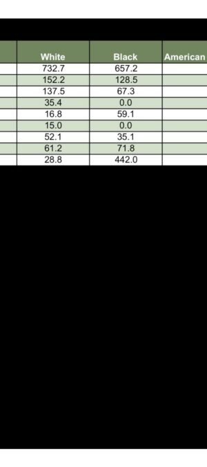 WYMORT19_2019ResAgeAdjRateByRaceAndCause