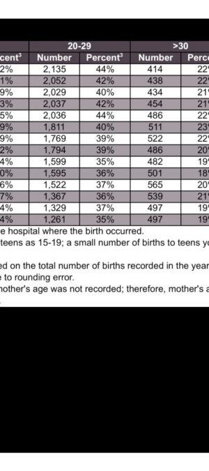 WYNAT19_2006_2019MedicaidByMomsAge