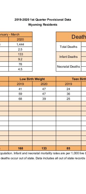 Quarterly Data 2020 Q1