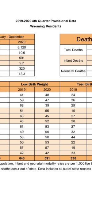 Quarterly-Data-2020-Q4