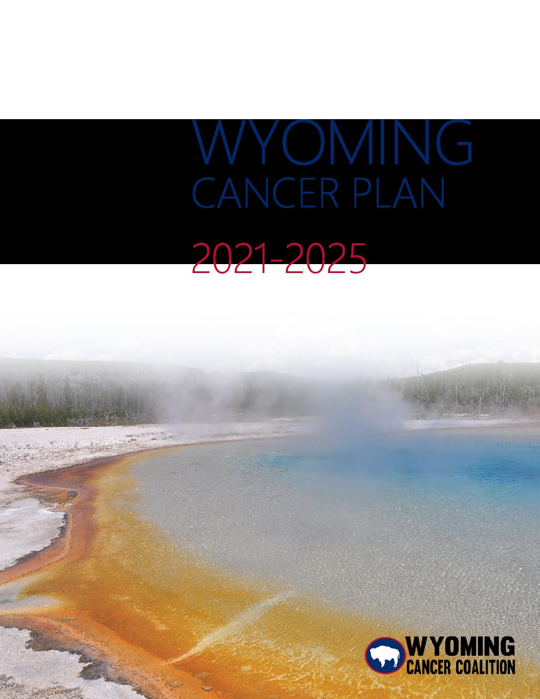 Wyoming Cancer Plan 20212025 Wyoming Department of Health