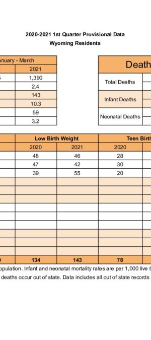 2021 Quarterly Data Q1
