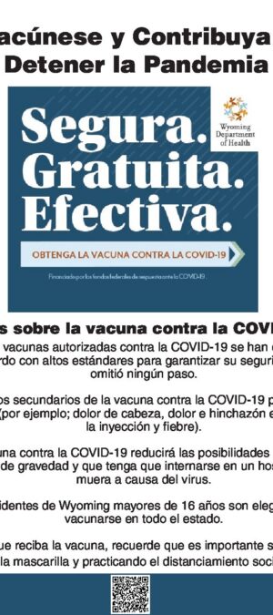 COVID-19 Fast Facts en Español