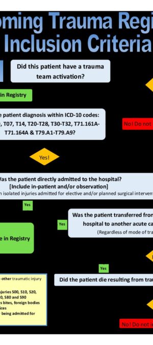 Flow Chart 1 – CY 2021 Trauma Registry Inclusion Criteria