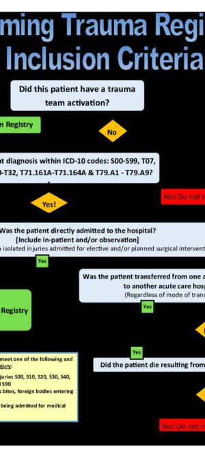 Flow Chart 2 – CY 2021 Trauma Registry Inclusion Criteria