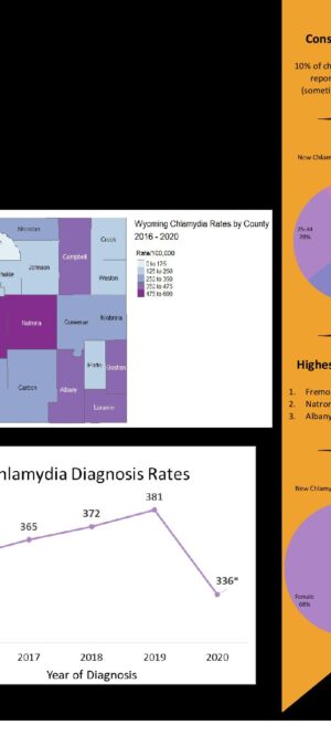 2020 Chlamydia Infographic