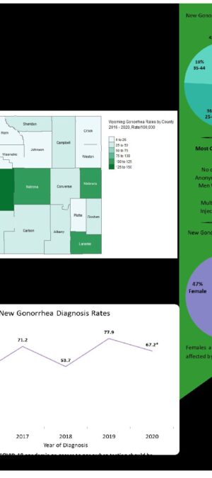 2020 Gonorrhea Infographic