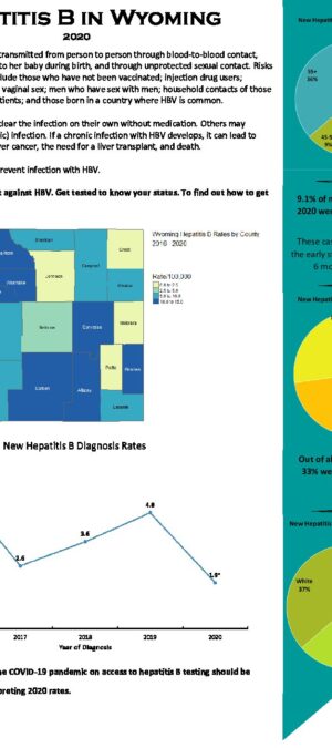 2020 Hepatitis B Infographic