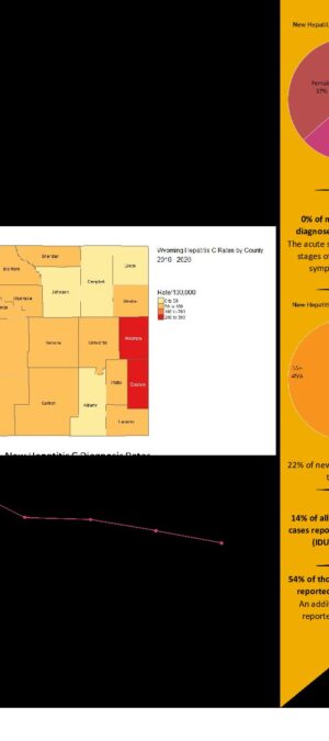 2020 Hepatitis C Infographic