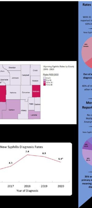 2020 Syphilis Infographic