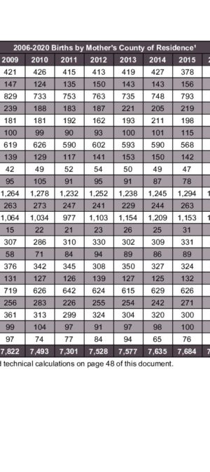2020ARB01 15 Year Resident Births