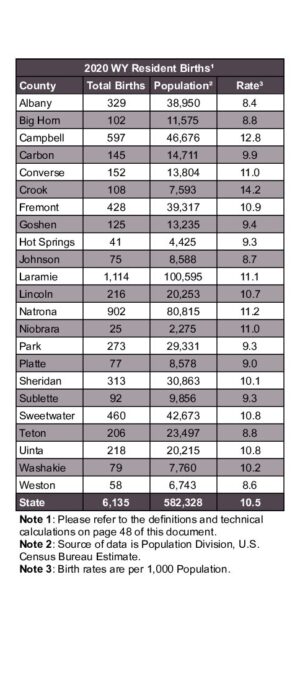 2020ARB02 Resident Births with Rate