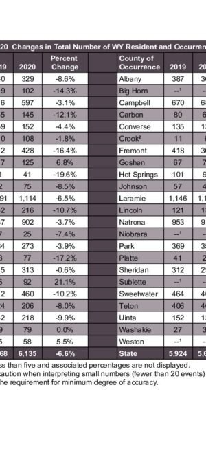 2020ARB04 Changes to Total Births