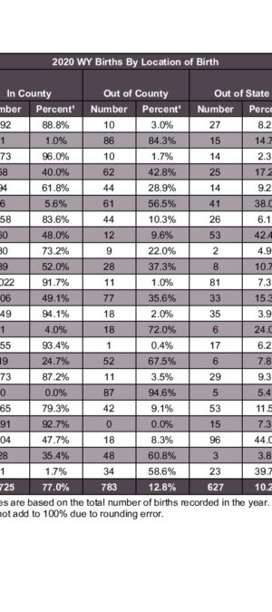 2020ARB05 Births By Location