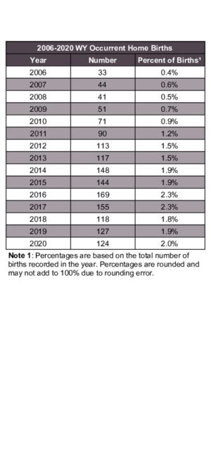 2020ARB06 Home Births