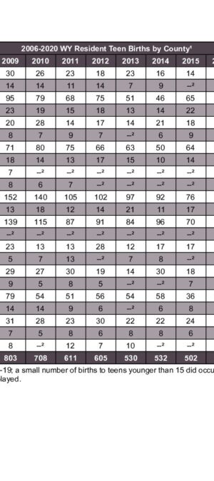 2020ARB07 Teen Birth Total