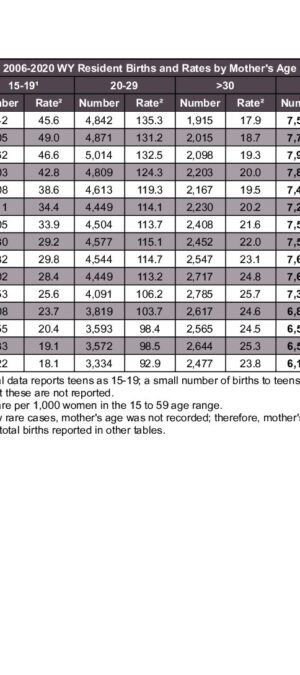 2020ARB09 Birth By Mother Age