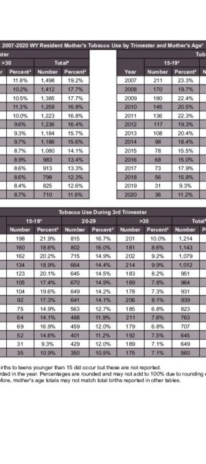 2020ARB13 Tobacco Use by Mother Age and Trimester