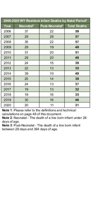 2020ARD04 Infant Death
