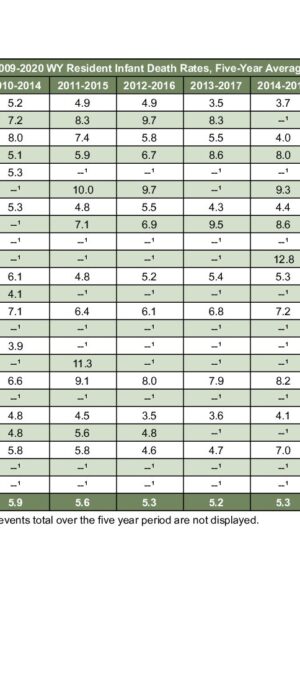 2020ARD05 Infant Death Rate