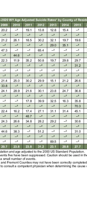 2020ARD09 Suicide Rate