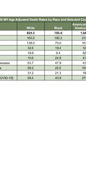 2020ARD13 Selected Cause by Race