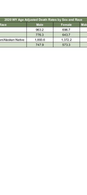 2020ARD14 Death Rate by Race and Sex