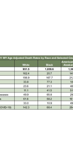 2021ARD13-Race Adjusted Cause
