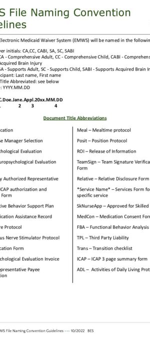 TOOL08-EMWS File Naming Convention Guidelines