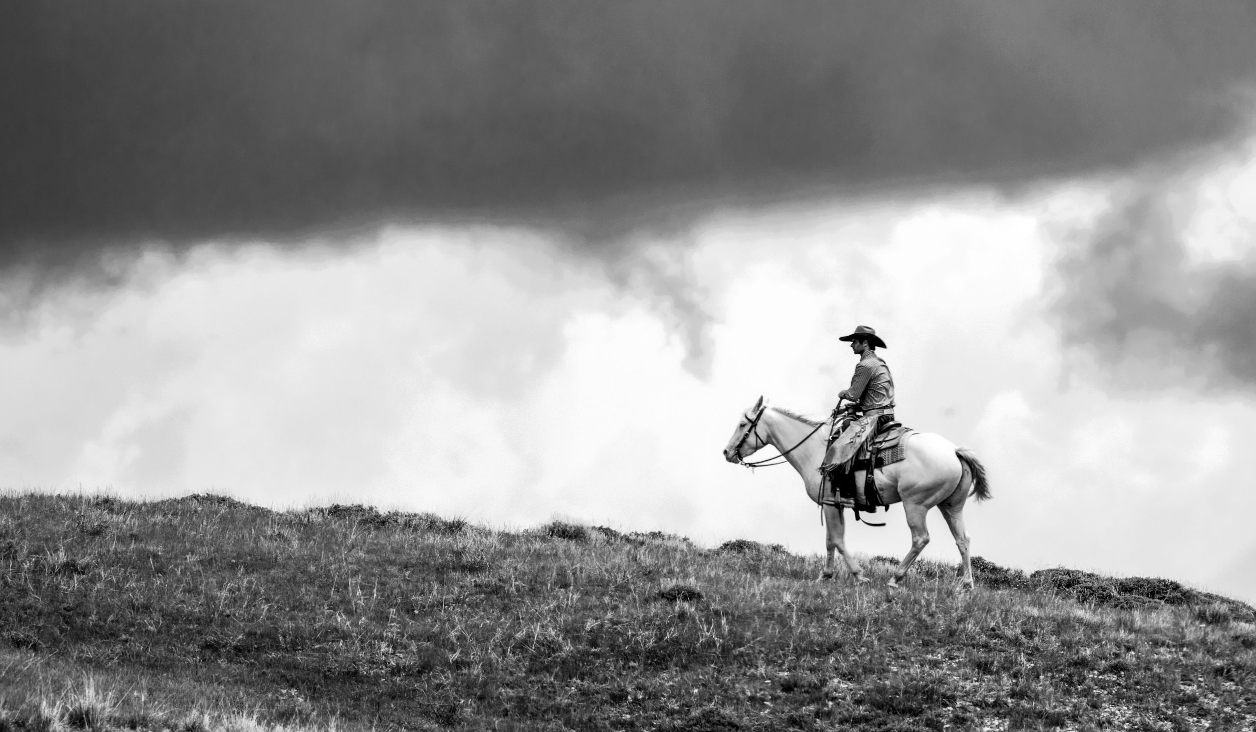 Second Place - Cowboy Checking His Herd - Rose Fry