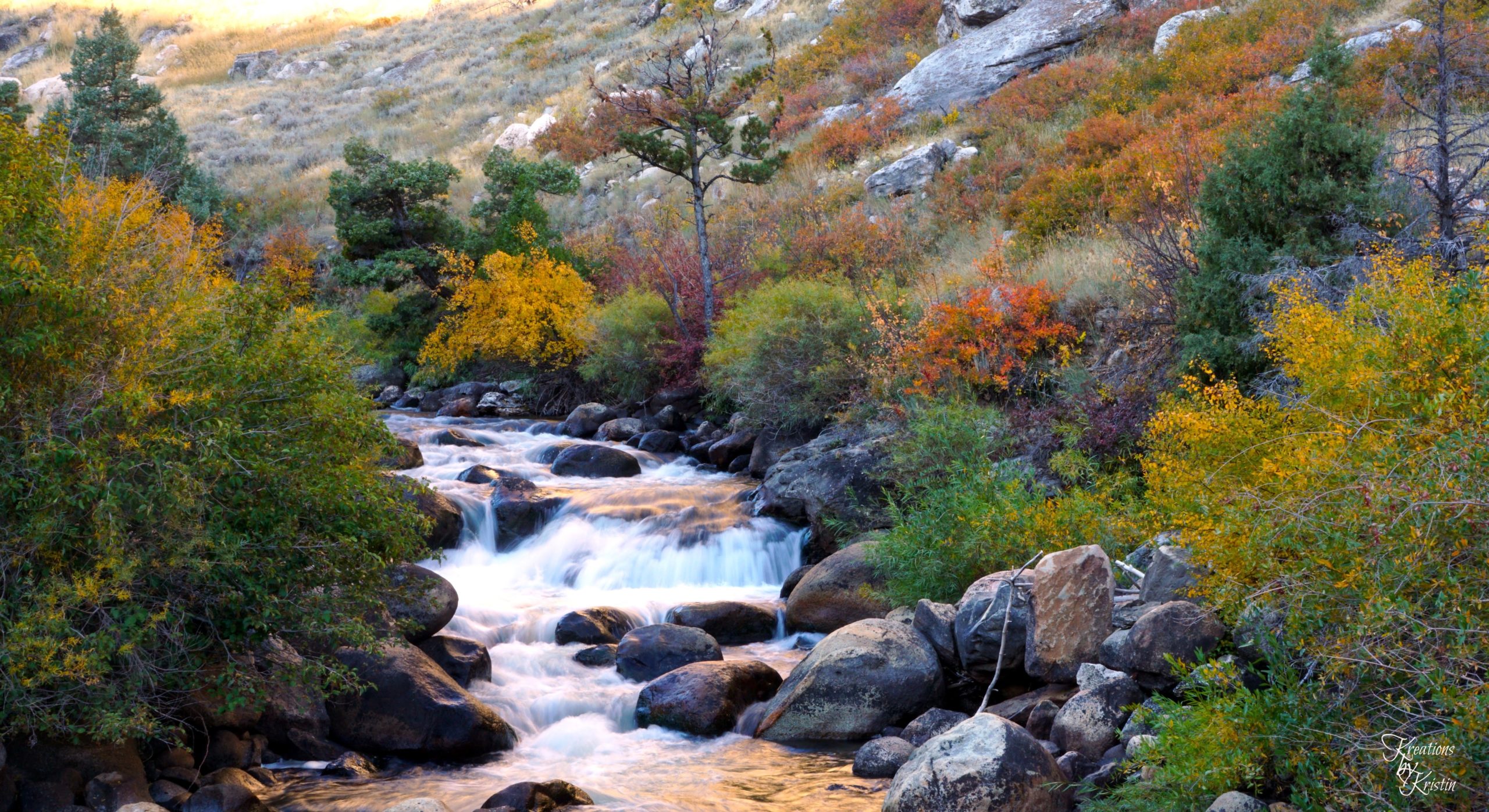 Second Place - Tumbling Creek - Kristin Moran