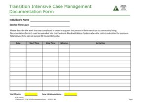 CCW Form 17 CCW TICM Documentation Form