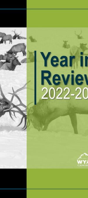 Year in Review